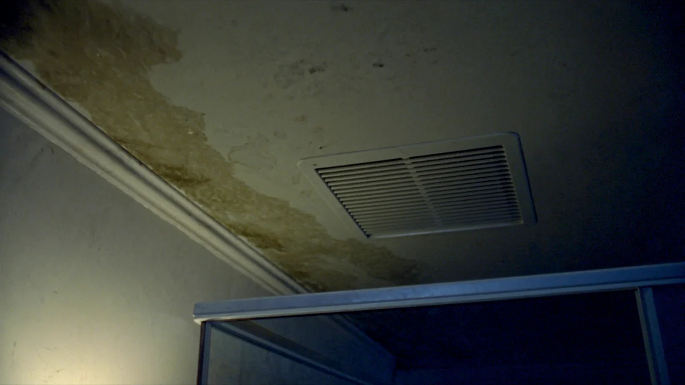 A mould-spotted bathroom ceiling above a shower cubicle, extractor grille visible