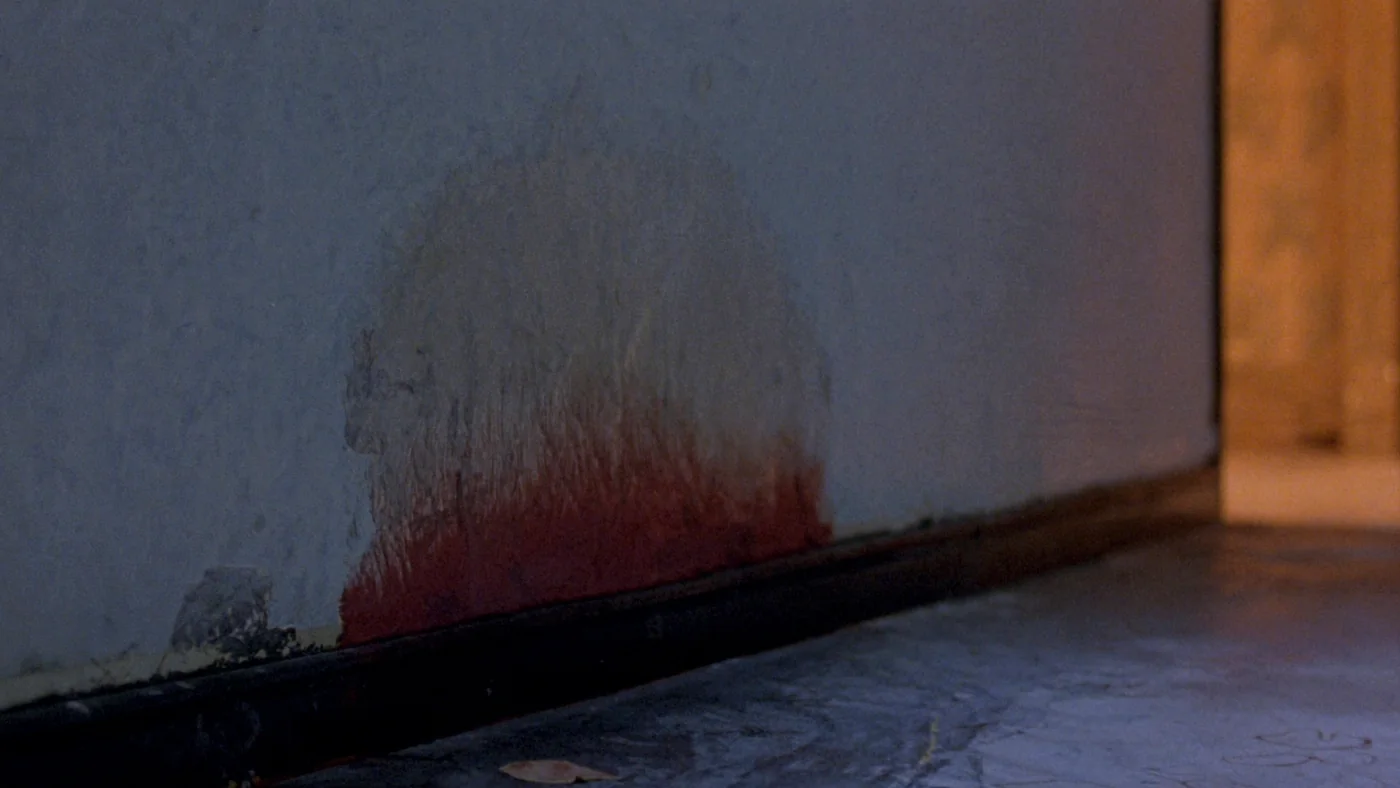Peeling wallpaper and a tide mark of rising damp along the base of a hallway wall